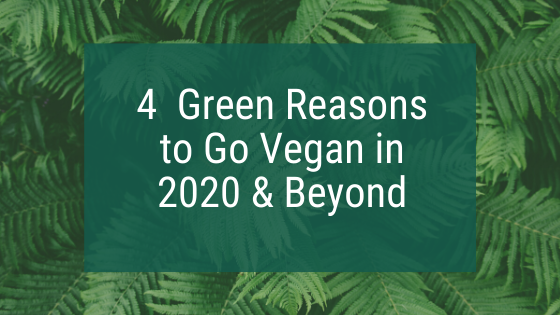 4 Green Reasons to Go Vegan in 2020 & Beyond