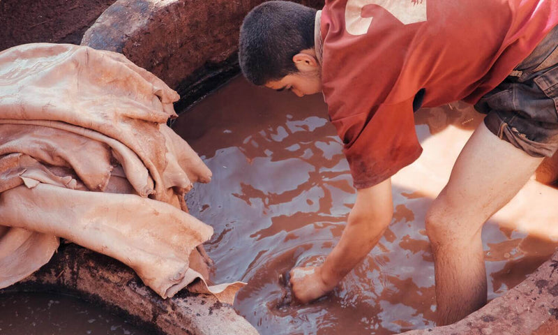 leather tanning worker moves hides in a dye vat around with his feet and hands