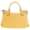 Cameleon DarcyWomen's Vegan Concealed Carry Bag Tote